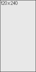 120x240 - Vertical Banner