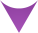 Iroquois Triangle