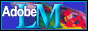 Adobe's LiveMotion